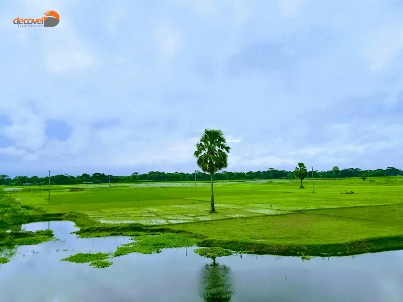 درباره طبیعت کشور بنگلادش با این مقاله از دکوول همراه باشید.