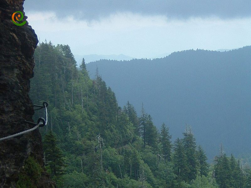 درباره محافظت و حفاظت از طبیعت در پارک ملی کوهستان‌های گریت اسموکی با این مقاله از دکوول همراه باشید.