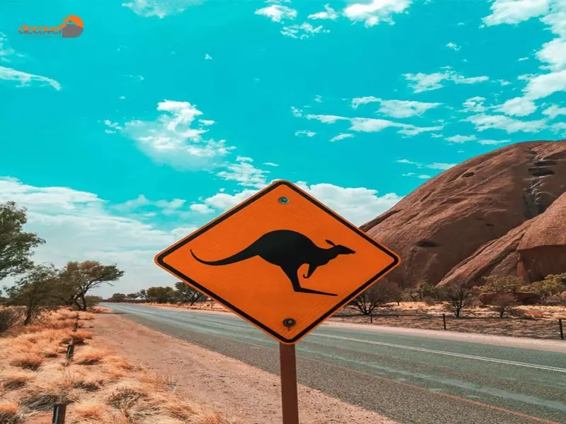 درباره حیات وحش و جاذبه های گردشگری استرالیا با دکوول همراه باشید.