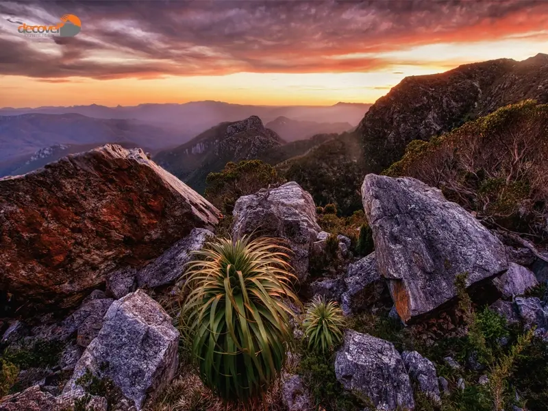 درباره بیابان تاسمانی یکی از زیبایی‌های کشور استرالیا با این مقاله از دکوول همراه باشید.