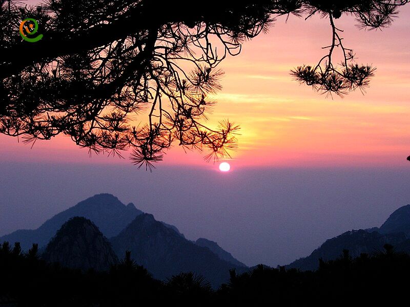 درباره کوهستان‌های زرد یا همان کوهستان هونگ‌شان: تلاش‌های حفاظت از محیط زیست با این مقاله از دکوول همراه باشید.