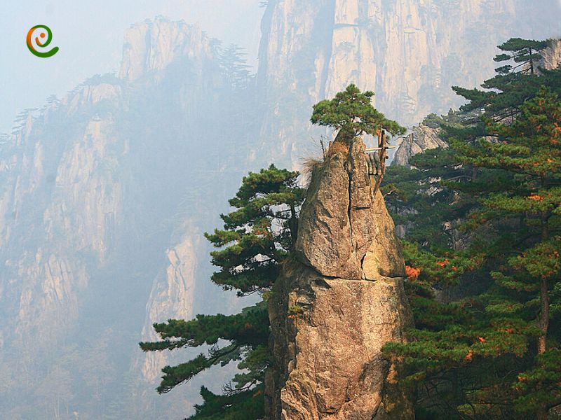درباره افسانه‌ها و اسطوره‌های مربوط به کوهستان‌های زرد همان کوهستان هونگ‌شان در چین با این مقاله از دکوول همراه باشید.