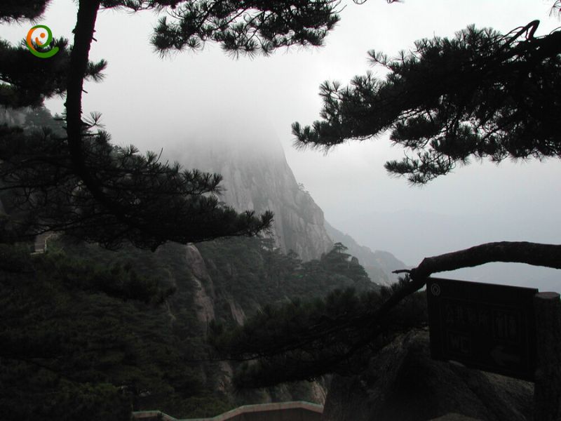 درباره کشف زیبایی‌های طبیعی در کوهستان‌های زرد یا همان کوهستان هونگ‌شان چین با این مقاله از دکوول همراه باشید.