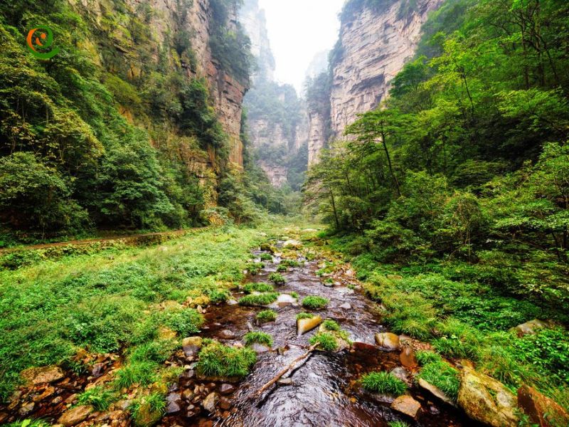 درباره تاریخچه پارک ملی ژانگ جیاجی چین با این مقاله از دکوول همراه باشید.