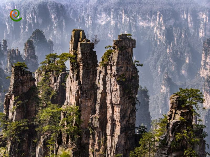 درباره پارک ملی ژانگ جیاجی چین با این مقاله از دکوول همراه باشید.