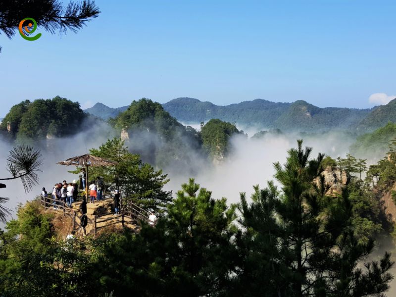 درباره تجربه سفر به این پارک در چین با این مقاله از دکوول همراه باشید.