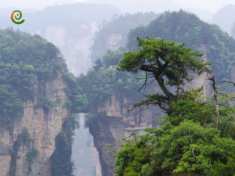 درباره جاذبه‌های طبیعی پارک ملی ژانگ جیاجی با این مقاله از دکوول همراه باشید.