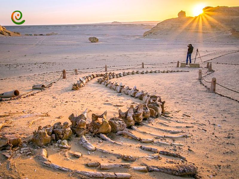 درباره بهترین زمان بازدید از وادی الخیتان با این مقاله از دکوول همراه باشید.