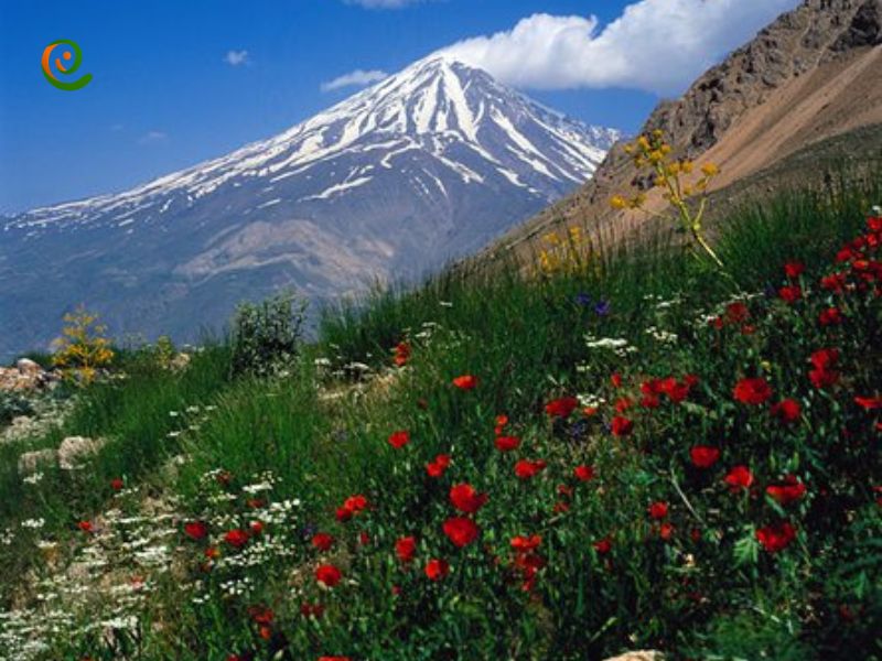 درباره اهمبت قله دماوند با این مقاله از وب سایت دکوول همراه باشید.