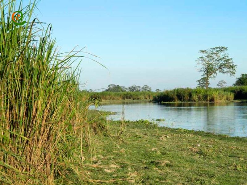 درباره برخورداری های طبیعی پارک ملی کازیرانگا با این مقاله از دکوول همراه باشید.