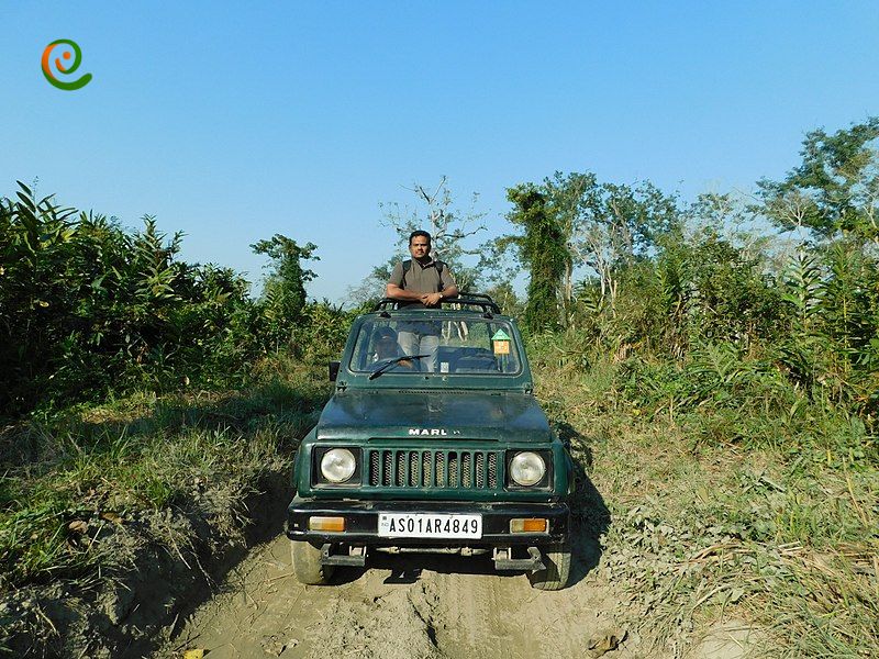 درباره تورهای گردشگری در پارک ملی کازیرانگا هند با این مقاله از دکوول همراه باشید.
