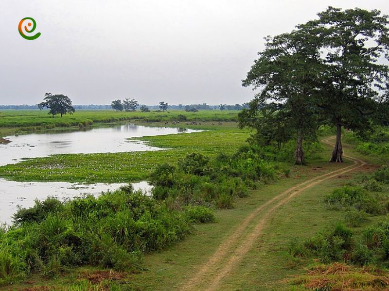 درباره چالش ها و مسائل محیط زیستی در پارک ملی کازیرانگا هند با این مقاله از وب سایت دکوول همراه باشید.