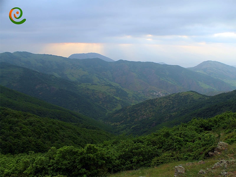 پیاده روی در جنگل های ارسباران از جاذبه های طبیعی و مهم استان آذربایجان شرقی
