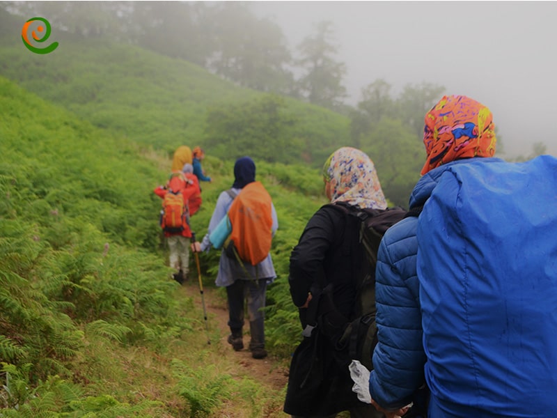 پیاده روی در جنگل های لوندیل به خودی خود از جاذبه های گردشگری مهم استان گیلان به شمار می رود
