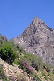 رشته کوه دالاخانی