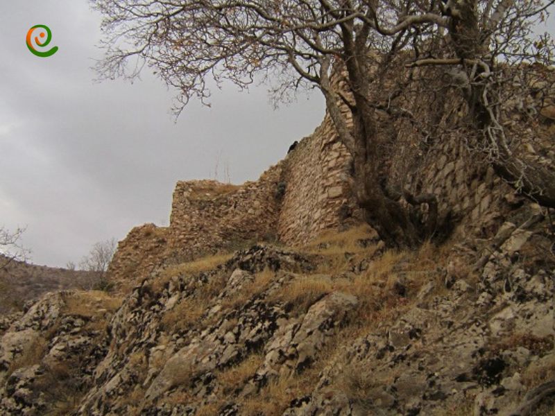 درباره قلعه یزدگرد سوم نگل کردستان با این مقاله از دکوول همراه باشید.