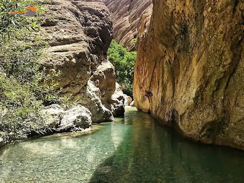 درباره دره نی گاه واقع در استان لرستان شهر دورود با این مقاله از دکوول همراه باشید.