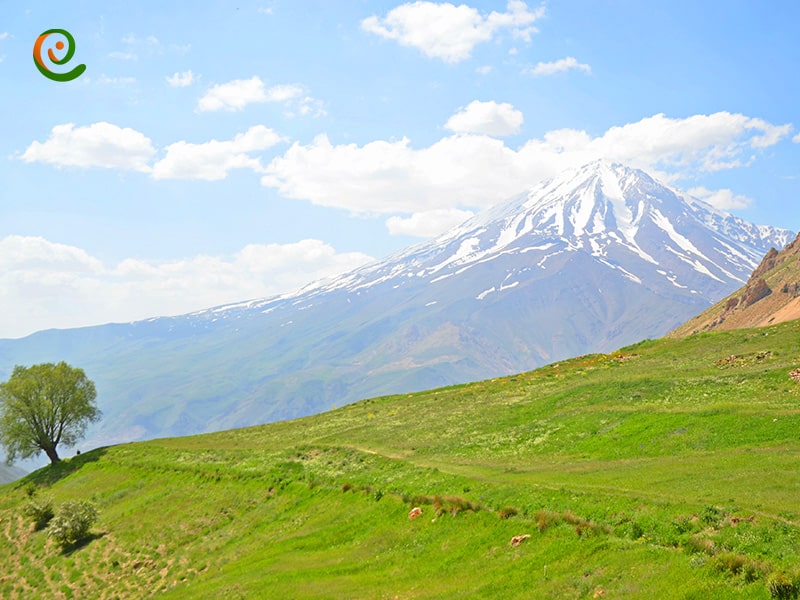 قله دماوند و طبیعت زیبای دشت آزو و قله پاشوره واقع در استان مازندران از جاذبه های گردشگری مهم است.