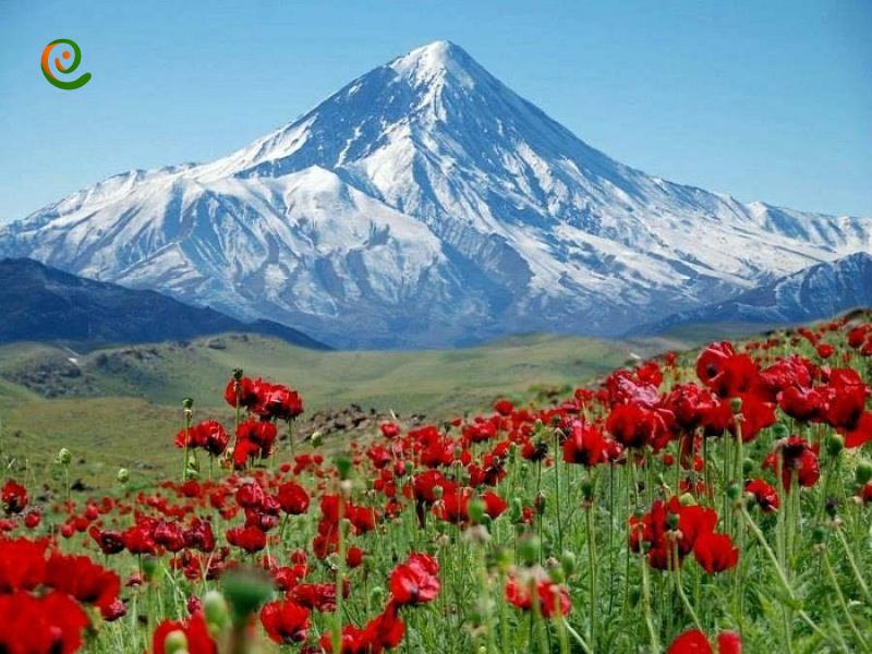 درباره صعود قله دماوند در فصل بهار با این مقاله از دکوول همراه باشید.