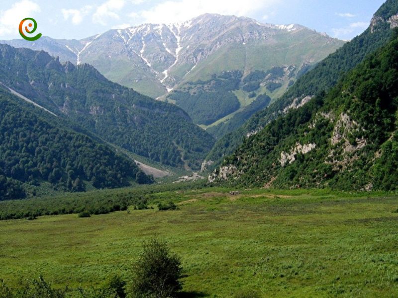 درباره جنگل های  دو هزار و سه هزار استان مازندران با دکوول همراه باشید.