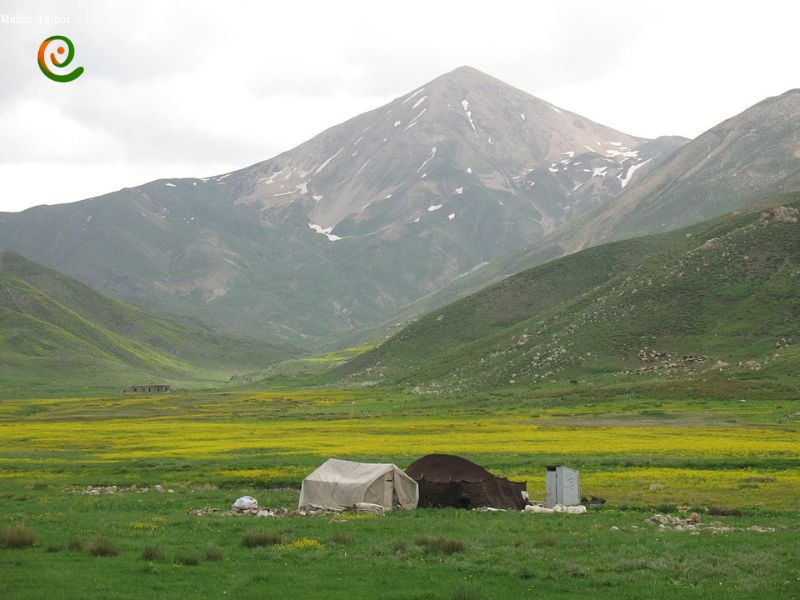 درباره دشت لار واقع در دامنه قله دماوند در دکوول بخوانید.
