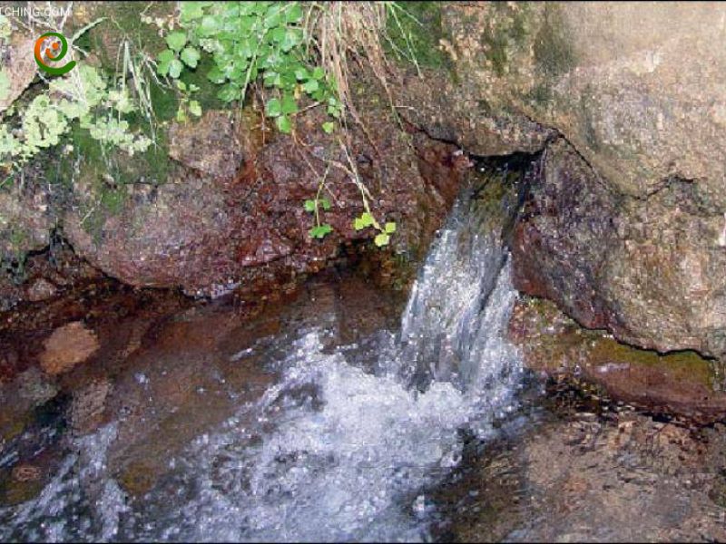 درباره چشمه آب معدنی موسی در روستای تمین با این مقاله از دکوول همراه باشید.