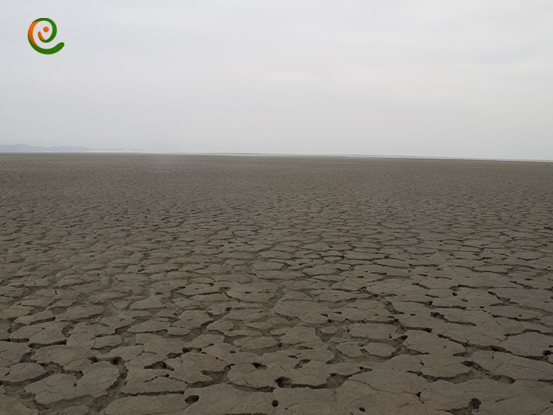 بخش هایی از دریاچه ارومیه که خشک شده است