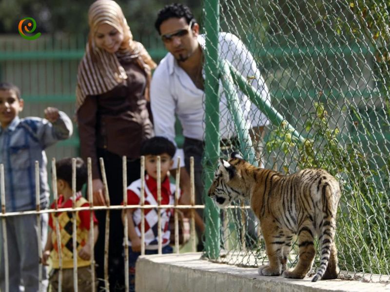درباره نکات مهم در زمان بازدید از باغ وحش بغداد با این مقاله از دکوول همراه باشید.