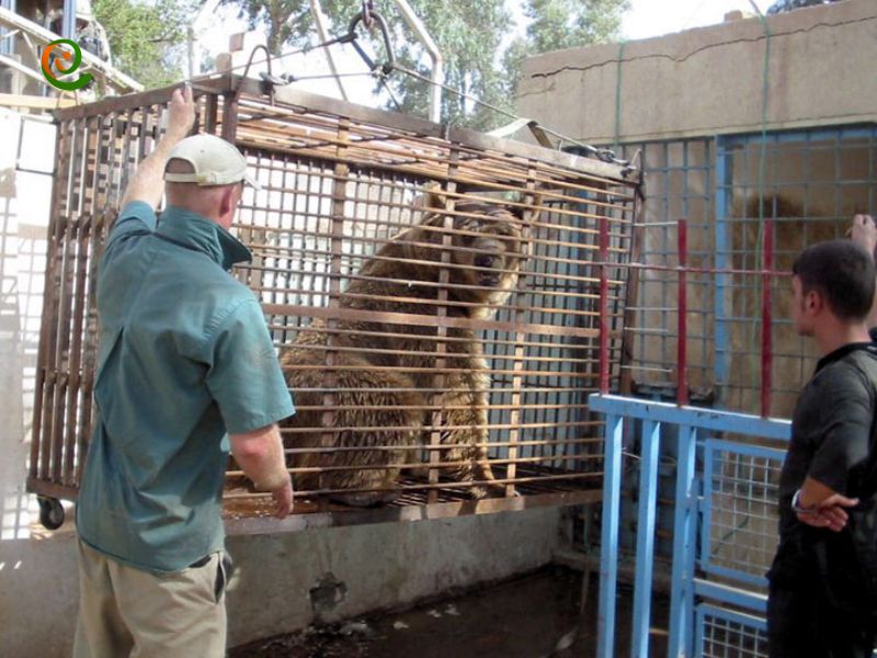 درباره نهضت و بازسازی باغ وحش بغداد با این مقاله از دکوول همراه باشید.
