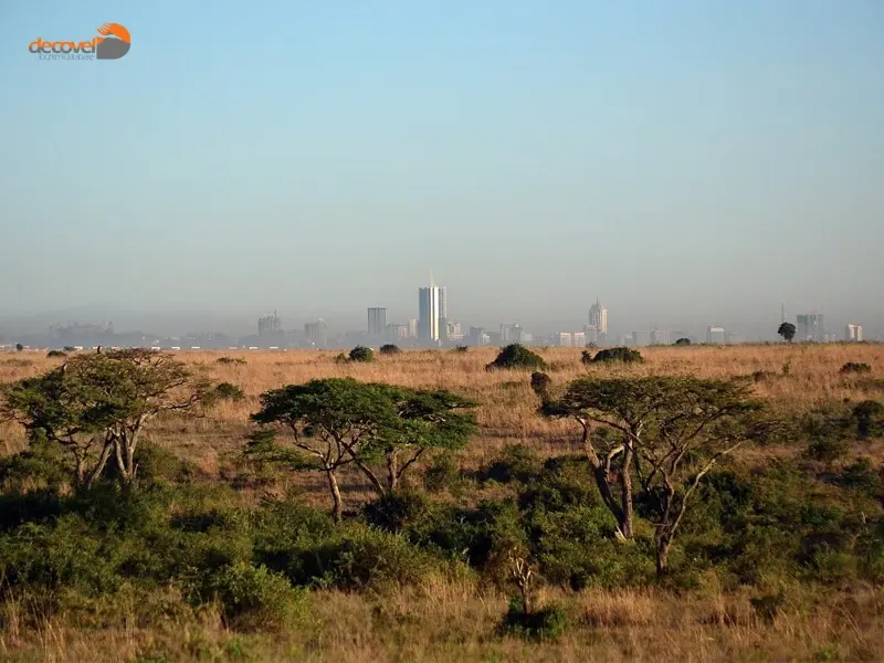 درباره امکانات و جاذبه‌های گردشگری در پارک ملی نایروبی در دکوول بخوانید.