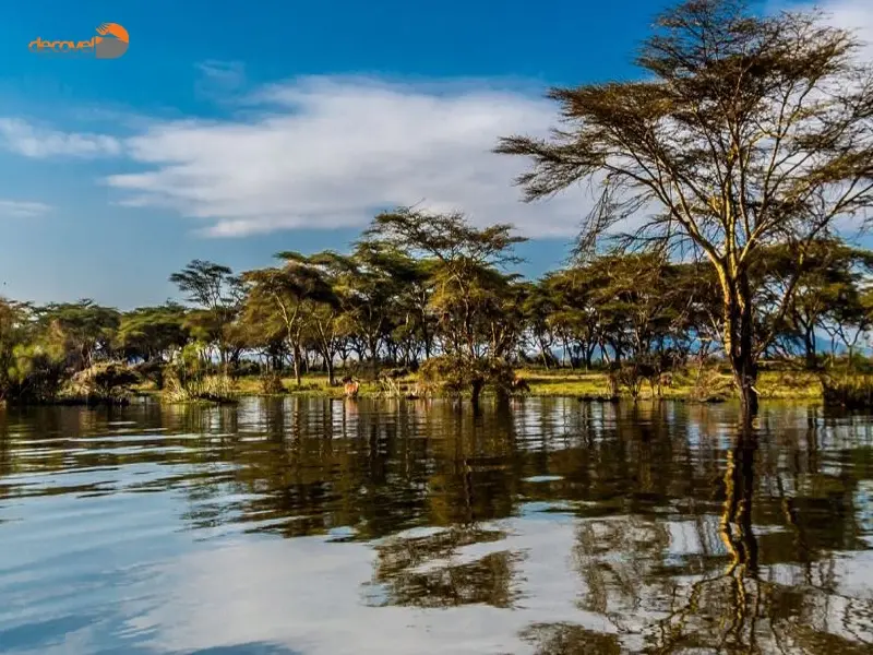 درباره امکانات رفاهی در اطراف دریاچه نایواشا در دکوول بخوانید.