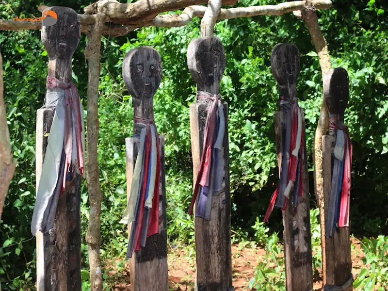 درباره  جنگل‌های مقدس میجیکندا کایا در دکوول بخوانید.