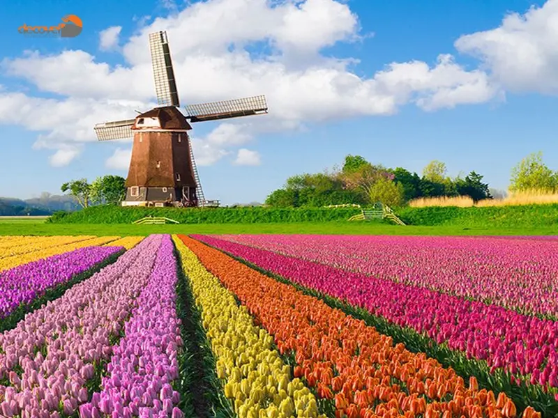 درباره جاذبه‌های گردشگری هلند و زیبایی‌های این کشور با دکوول همراه باشید.