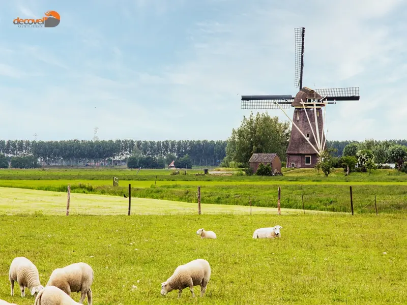 درباره کشور هلند و طبیعت بی نظیر آن  با این مقاله از وب سایت دکوول همراه باشید.