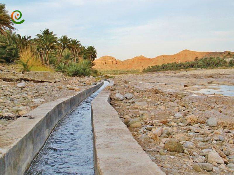 درباره آبیاری در عمان با این مقاله از وب سایت دکوول همراه باشید.