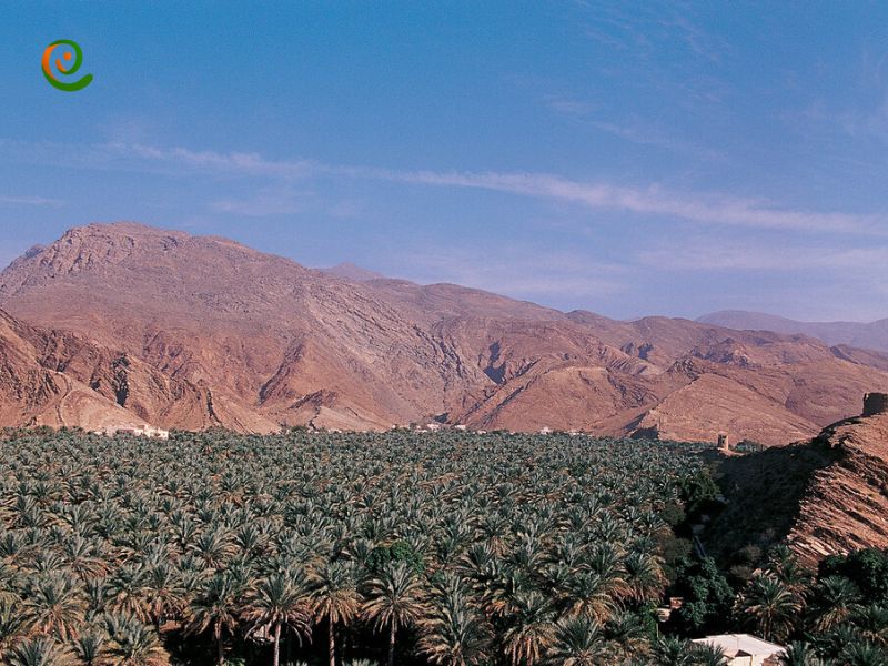 درباره رونق گردشگری در افلاج عمان را با این مقاله از دکوول دنبال کنید.
