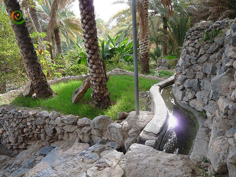 درباره آینده سیستم‌های آبیاری افلاج در عمان با این مقاله از دکوول همراه باشید.