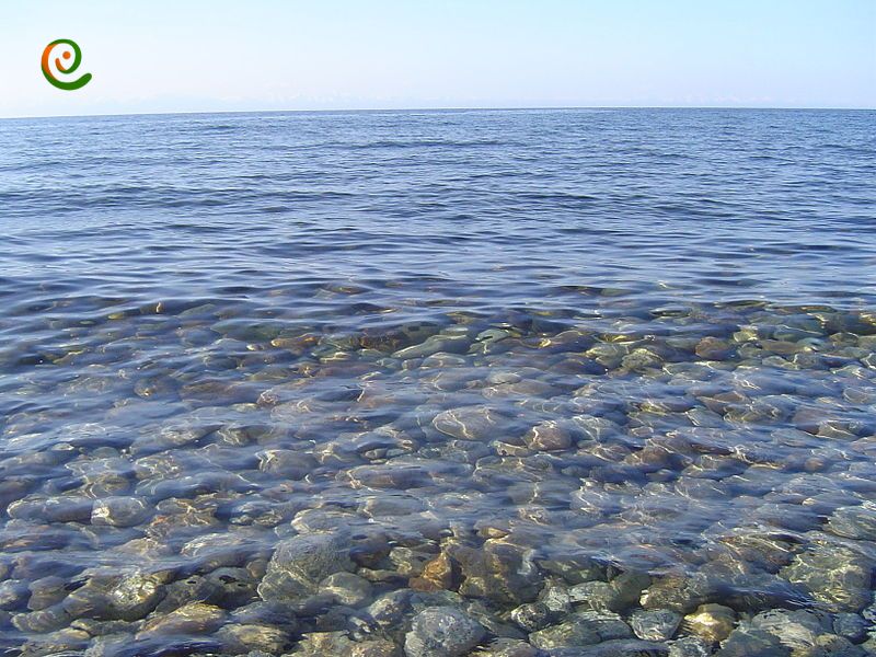 درباره آب و ترکیبات شیمیایی  دریاچه بایکال با این مقاله از دکوول همراه باشید.
