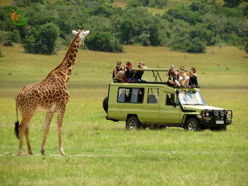 درباره پارک ملی آروشا در تانزانیا با این مقاله از دکوول همراه باشید.
