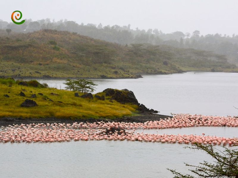 درباره دریاچه‌های موملا پارک ملی آروشا با این مقاله از دکوول همراه باشید.