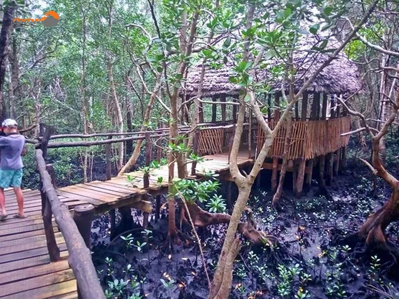 درباره امکانات و فعالیت‌های گردشگری در جنگل جوزانی در دکوول بخوانید.