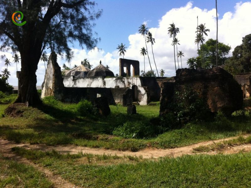 ذرباره آثار تاریخی و معماری جزیره پمبا با این مقاله از دکوول همراه باشید.