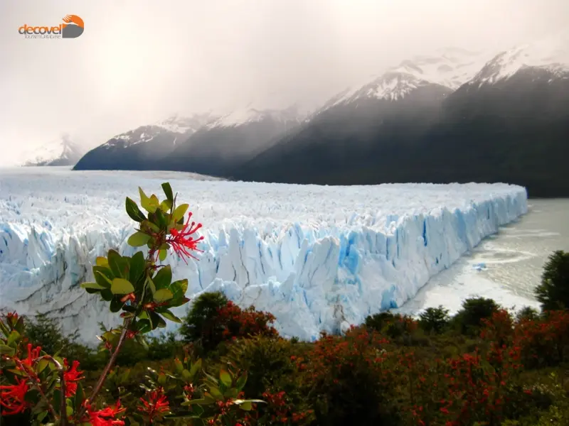 درباره الکالافاته: سرزمین یخچال‌ها در آرژانتین با این مقاله از وب سایت دکوول همراه باشید.
