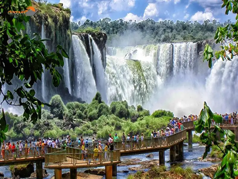 درباره تنوع زیستی منطقه و گونه‌های منحصر به فرد گیاهی و جانوری آبشارهای ایگواسو با دکوول همراه باشید.