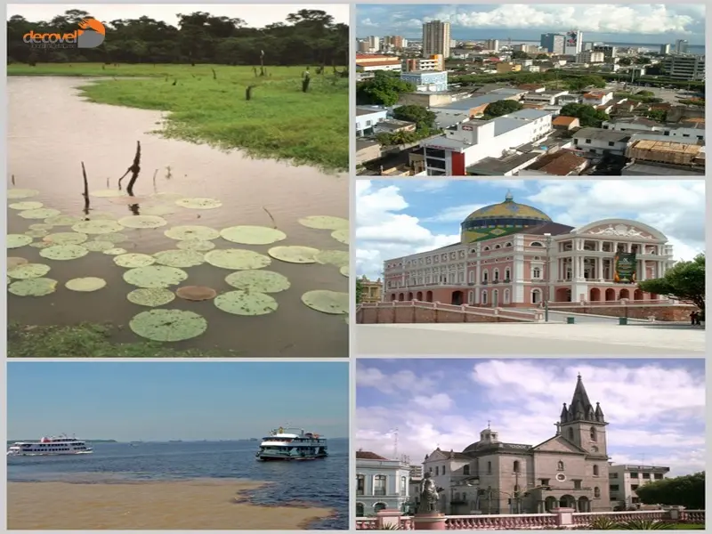 درباره جاذبه های توریستی شهر مانائوس در کشور برزیل با این مقاله از دکوول همراه باشید.