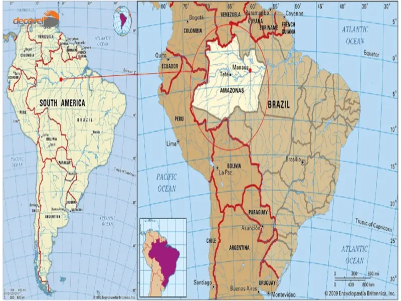 درباره موقعیت جغرافیایی شهر مانائوس در کشور برزیل با این مقاله از دکوول همراه باشید.