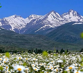 قله آراگاتس