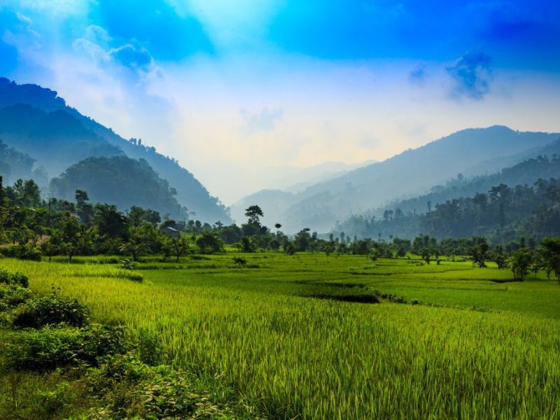 پارک ملی چیتوان: سفری به طبیعت وحشی نپال