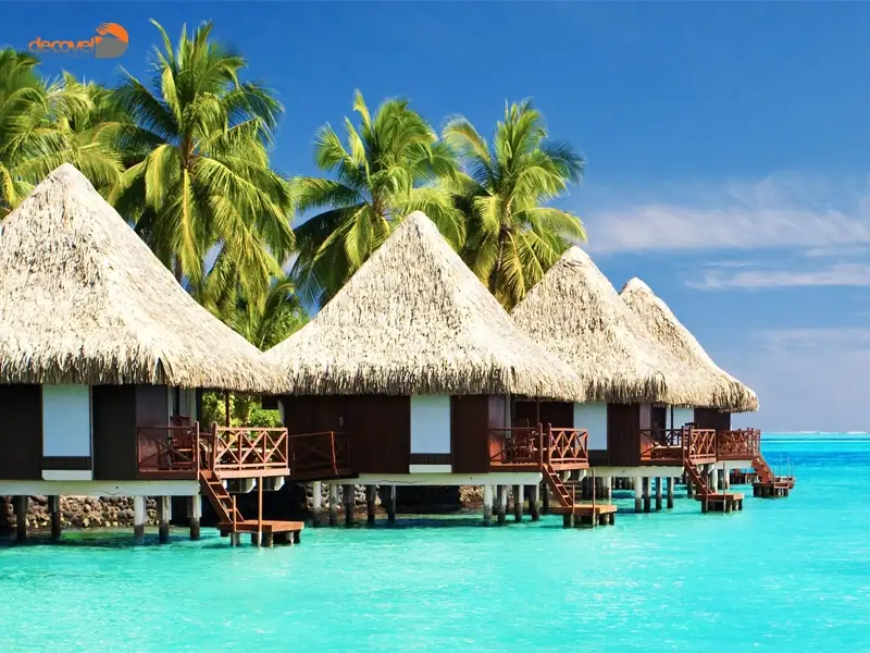 درباره سایر جزایر گردشگری کشور مالدیو با این مقاله از دکوول همراه باشید.