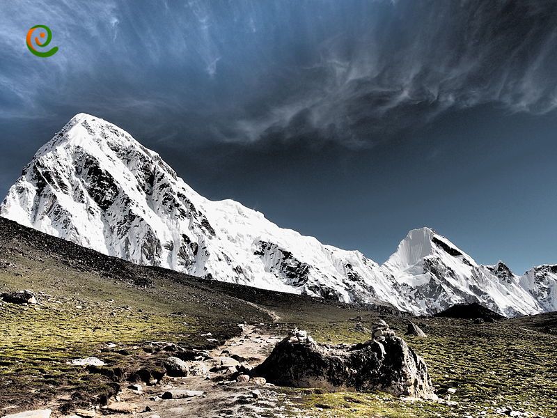 درباره نحوه پیمایش و صعود قله پوموری با این مقاله از دکوول همراه باشید.